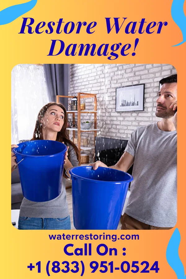water restoration Ace Damage Restoration Hayfield