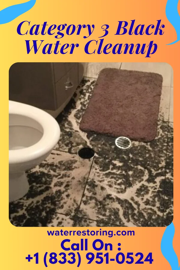 Category 3 Black Water Cleanup in Hayfield, VA