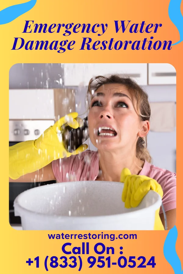 Emergency Water Damage Restoration in Hayfield, VA